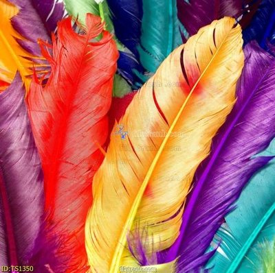 File tranh File hoa trang sức TS1350 (bản gốc) treo phòng ăn