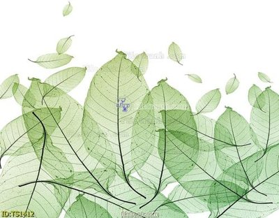 File gốc File hoa trang sức TS1412 (PNG) trong suốt (transparent)