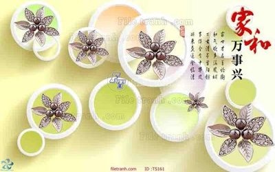 File in ấn File hoa trang sức TS161 (bản gốc) từ file gốc