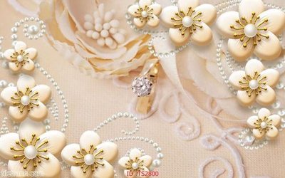 File in mica File hoa trang sức 3d TS2800 (bản gốc) làm vách ngăn