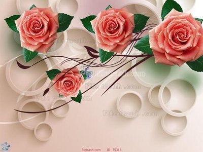 File gốc File hoa trang sức TS313 (dành cho quảng cáo)