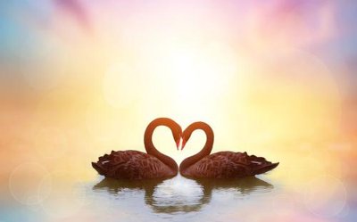 File ảnh File hoa trang sức 3d TS3250 (gốc) in decal dán tường