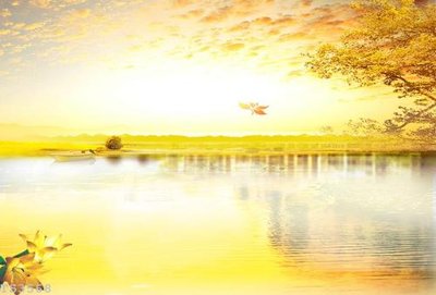 File in trần File hoa trang sức 3d TS3568 (bản gốc) hoa văn