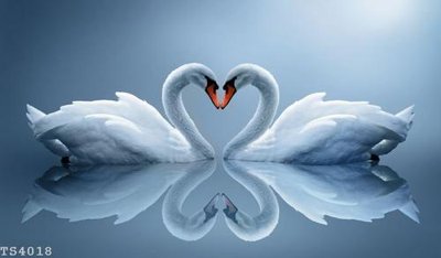 Tải file gốc File hoa trang sức 3d TS4018 (in bạt) quảng cáo