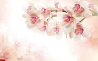 Ảnh gốc File tranh hoa trang sức in tường 3d TS5307 (độ nét cao) in tráng gương