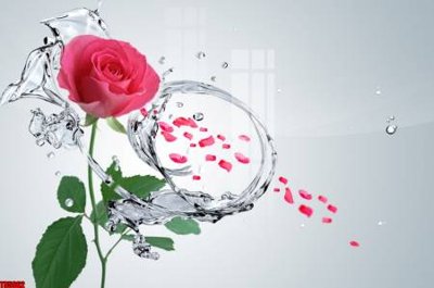 Tệp tin gốc File tranh hoa trang sức in tường 3d TS5662 (dùng cho in) File tranh hoa trang sức in tường 3d TS5662