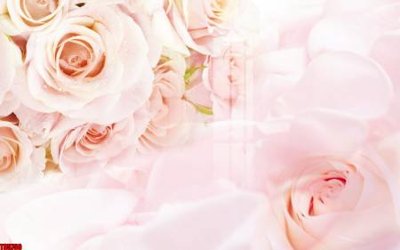 File tranh File tranh hoa trang sức in tường 3d TS5750 (bản gốc) trang trí văn phòng