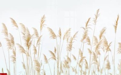 Tải file File tranh hoa trang sức in tường 3d TS5820 (PSD) cho in tranh 3D