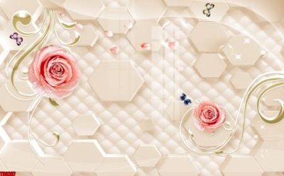 Chi tiết file tranh tráng gương File tranh hoa trang sức in tường 3d TS6207 (ảnh gốc)