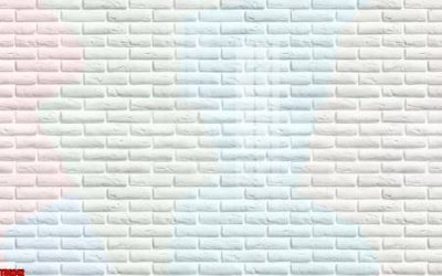 File tranh File tranh hoa trang sức in tường 3d TS6242 (bản gốc) treo phòng ăn