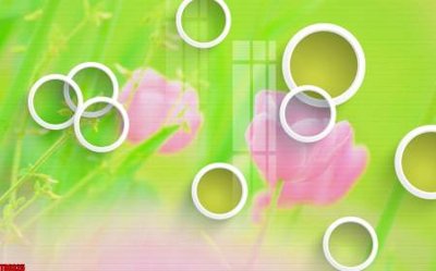 Tải file tranh File tranh hoa trang sức in tường 3d TS6325 (ảnh gốc) ngay