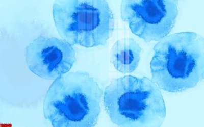 Tải xuống file tranh gốc File tranh hoa trang sức in tường 3d TS6340 (PSD/TIFF)