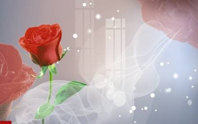 File tranh File tranh hoa trang sức in tường 3d TS6365 (ảnh gốc) in trần xuyên sáng