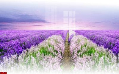 Tải về file tranh gốc File tranh hoa trang sức in tường 3d TS6450 (để in quảng cáo)