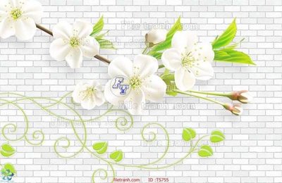 File in mica File hoa trang sức TS755 (ảnh gốc) đẹp