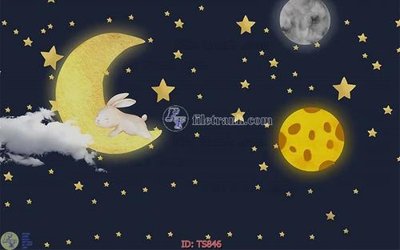 File gốc File hoa trang sức TS846 (in lụa) trang trí tường