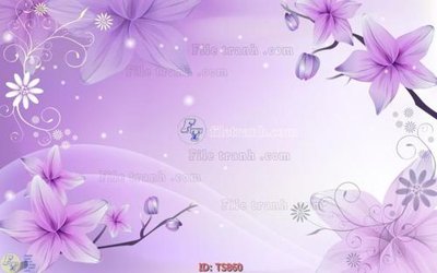 File gốc File hoa trang sức TS860 (in tráng gương) ốp tường