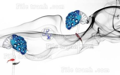 Tải file File tranh gốc tranh tường hoa thủy mặc trung quốc TTQ128 (gốc) làm file quảng cáo