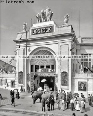 Tải file gốc The Lion King_ 1905 (in tráng gương) siêu đẹpFile tranh gốc The Lion King_ 1905 chất lượng cao