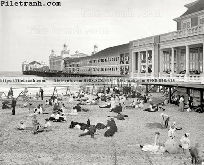 File ảnh The Steel Pier_ 1904 (gốc) in backdrop sự kiện