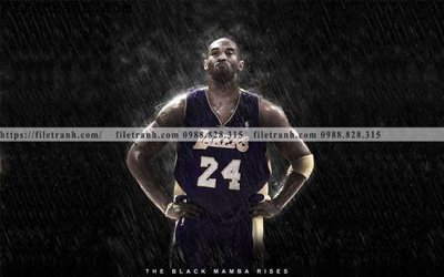 File in trần The thao bong ro 106 (bản gốc) bầu trời