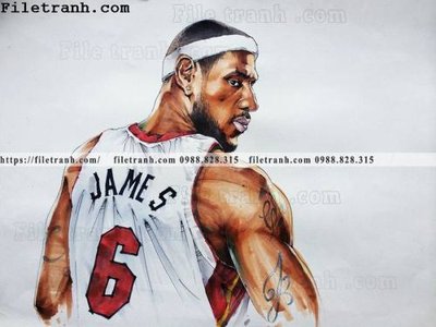 File in lụa The thao bong ro 127 (phong cảnh) The thao bong ro 127