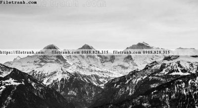 File tranh Toi gian den trang 107 (gốc) chủ đề động vật