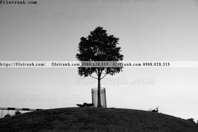 File in trần Toi gian den trang 154 (file gốc) chủ đề vũ trụ