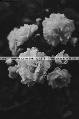 File tranh Toi gian den trang 155 (ảnh gốc) cho in ấn kỹ thuật số