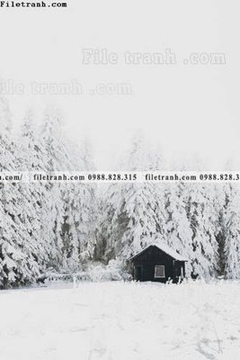 File in trần Toi gian den trang 156 (bản gốc) mây trời