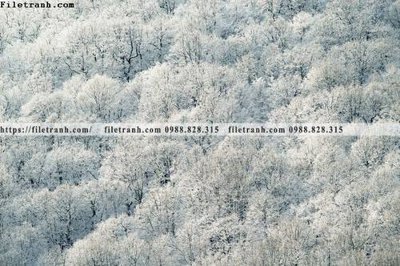 File gốc Toi gian den trang 158 (ảnh rõ nét) để in