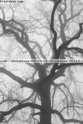 File gốc Toi gian den trang 174 (trang trí) phòng làm việc