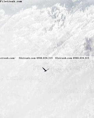 Tải file gốc Toi gian den trang 200 (in tráng gương) cao cấpFile gốc Toi gian den trang 200 (in ấn) phiên bản độc quyền