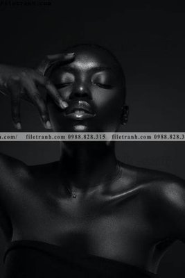 File tranh in tráng gương Tranh chan dung chup anh nguoi 217 (siêu nét)