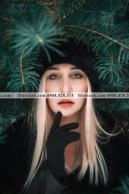 Tải file Tranh chan dung chup anh nguoi 236 (PSD) cho in tranh 3D