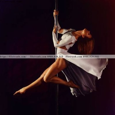 Tải về file tranh gốc Tranh chan dung chup anh nguoi 256 (để in quảng cáo)