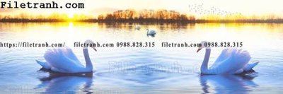 Tệp tin gốc Tranh trang tri banner dau giuong hien dai 241 (dùng cho in) Tranh trang tri banner dau giuong hien dai 241