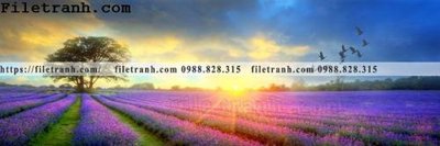 File gốc Tranh trang tri banner dau giuong hien dai 242 (in tráng gương) nghệ thuật