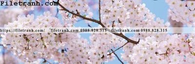 Tải file Tranh trang tri banner dau giuong hien dai 298 (ảnh gốc) in tranh kính