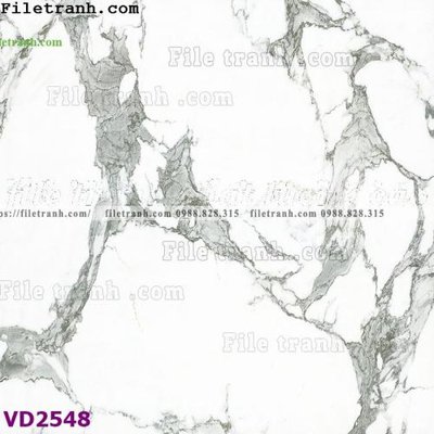 Ảnh gốc File in vân đá cẩm thạch VD2548 (siêu chi tiết) để in ấn