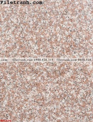 File in trần File vân đá đá cẩm thạch VD5220 (file gốc) xuyên sáng