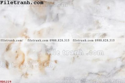 Download file gốc File vân đá đá cẩm thạch VD5229 (in mica) logo