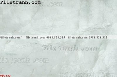 File tranh File vân đá đá cẩm thạch VD5233 (gốc) chủ đề tĩnh vật