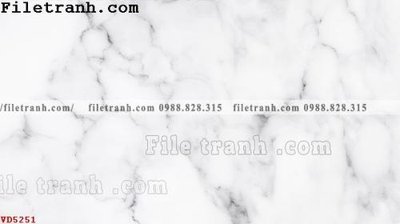File in trần File vân đá đá cẩm thạch VD5251 (bản gốc) hoa văn