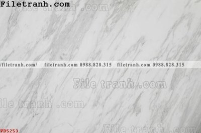 File in trần File vân đá đá cẩm thạch VD5253 (file gốc) xuyên sáng
