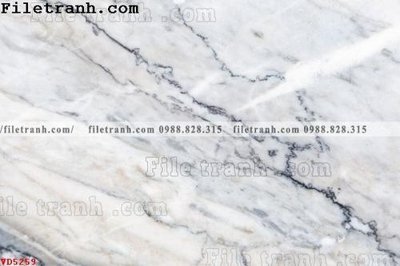 Tải file File vân đá đá cẩm thạch VD5259 (gốc) chủ đề hoa sen