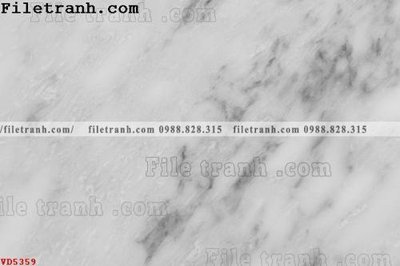 File in trần File vân đá đá cẩm thạch VD5359 (bản gốc) 5D