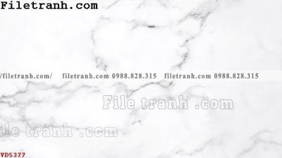 Tải file gốc File vân đá đá cẩm thạch VD5377 (in khổ lớn) quảng cáo