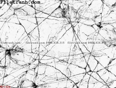 File in lụa File vân đá đá cẩm thạch VD5416 (hoa văn) File vân đá đá cẩm thạch VD5416