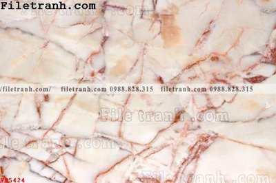 File tranh File vân đá đá cẩm thạch VD5424 (ảnh gốc) in trần nhà